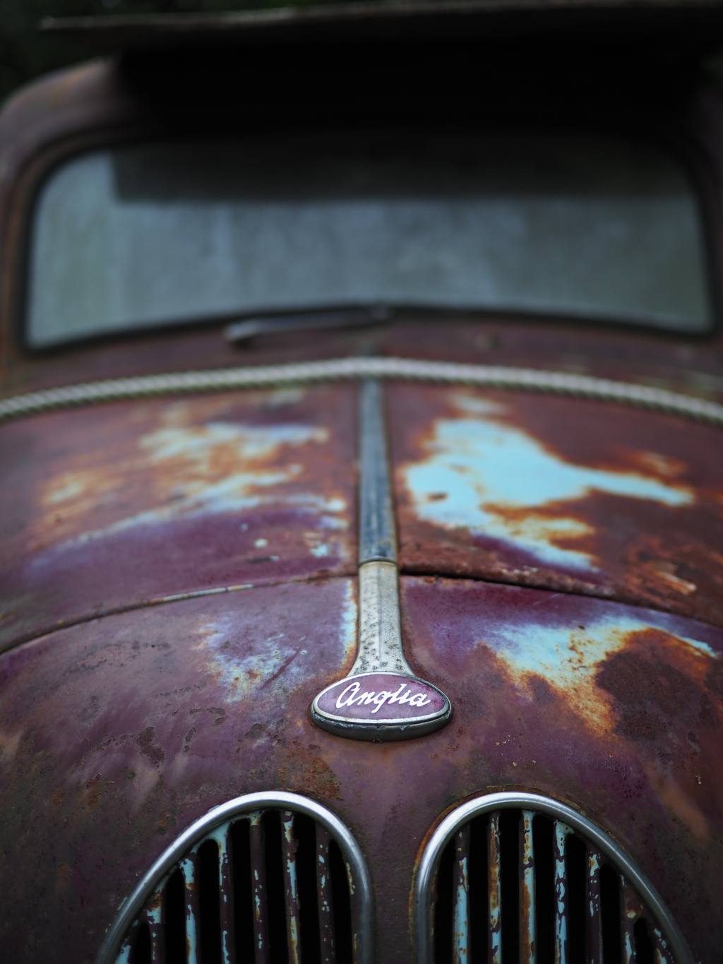 Old face