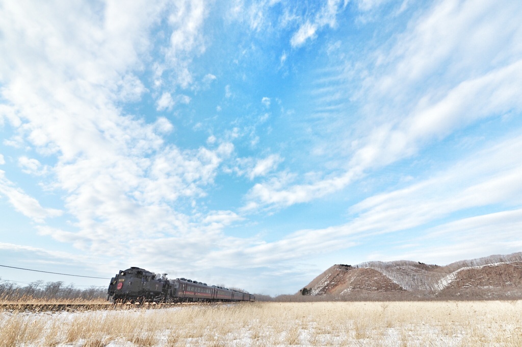 冬晴れの釧路湿原