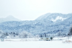 雪国を