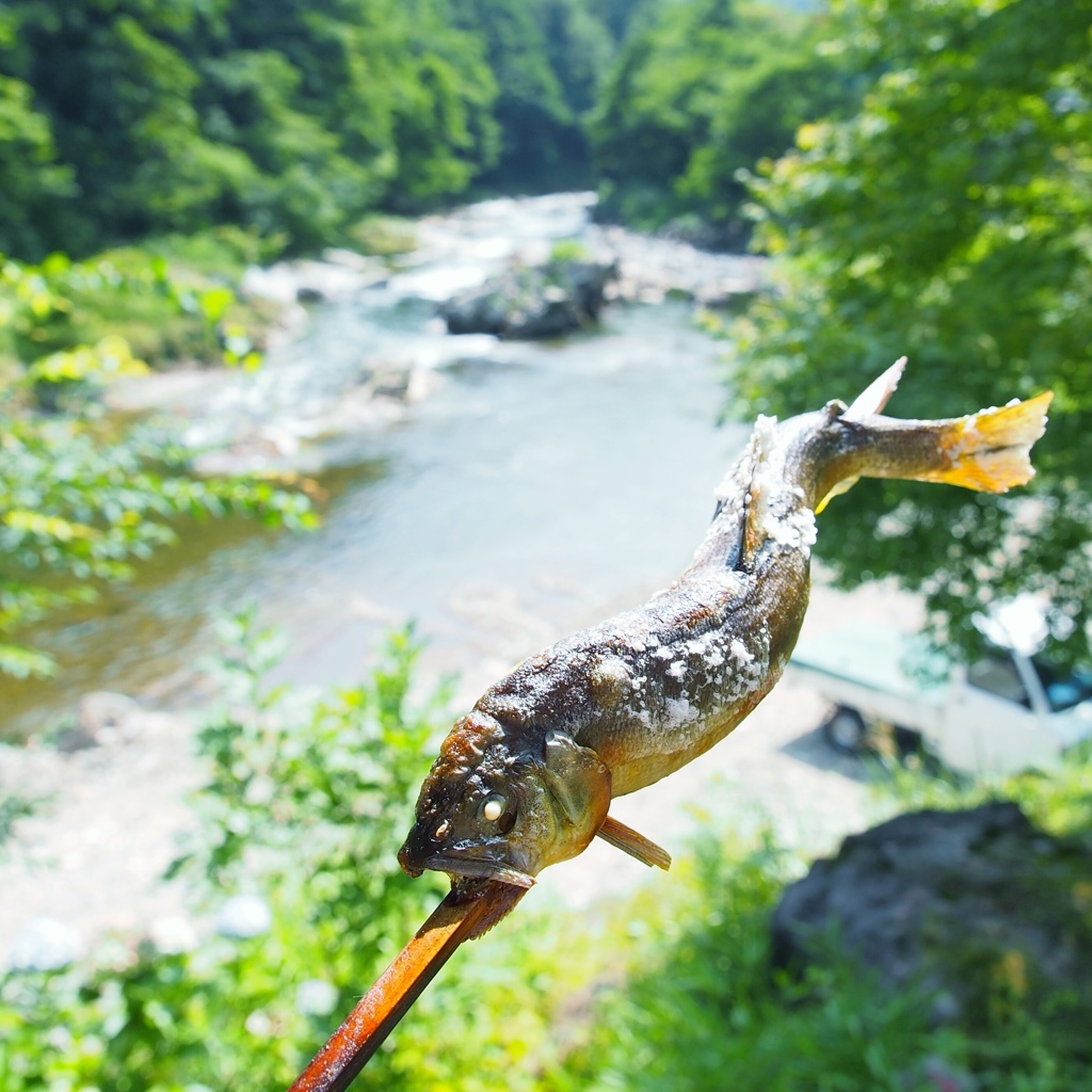 清流小国川の味