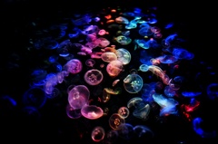 Color bubble