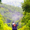 夏草の線路