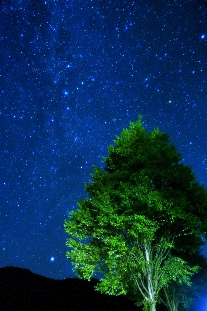 最上の星