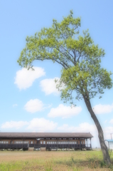 時、ゆるやかに
