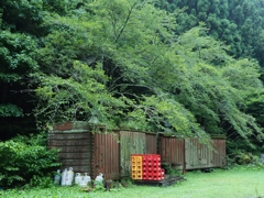 転勤族