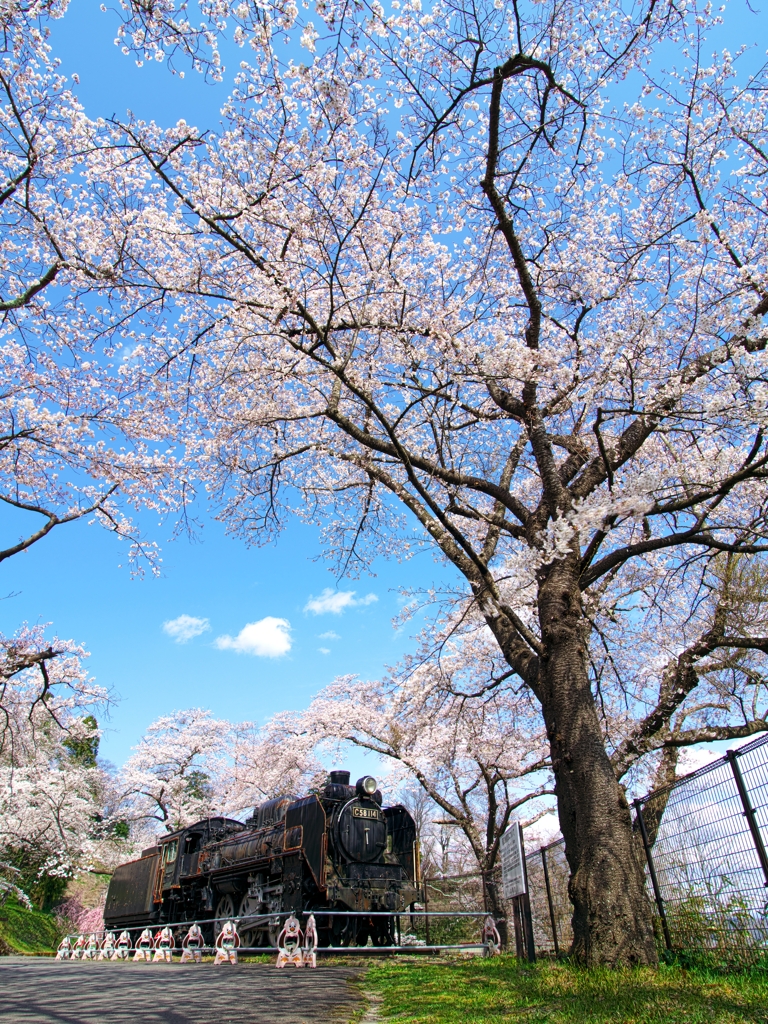 城跡の老兵