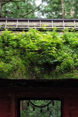 戸隠神社 随神門