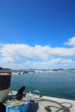 田代島2017 scene.13