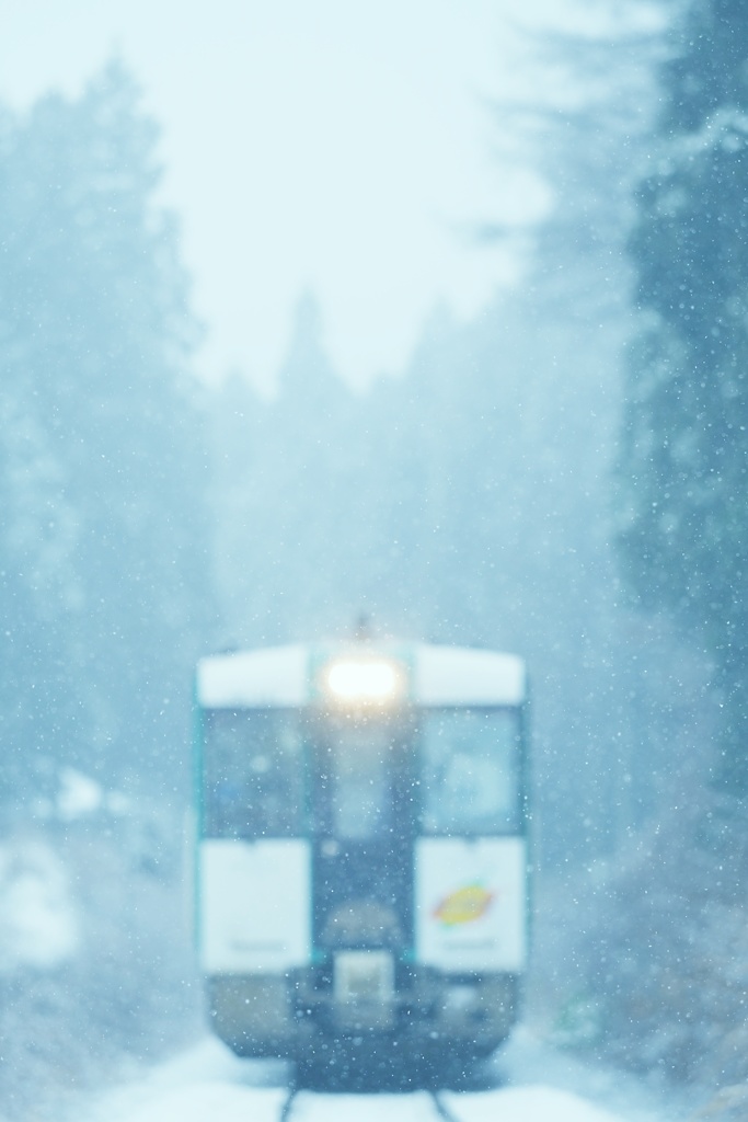 雪のある冬に