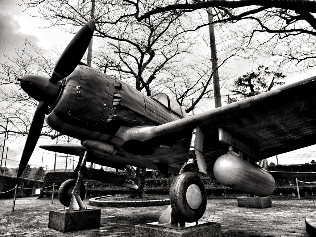 俺は、君のためにこそ死ににいく