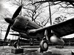 俺は、君のためにこそ死ににいく