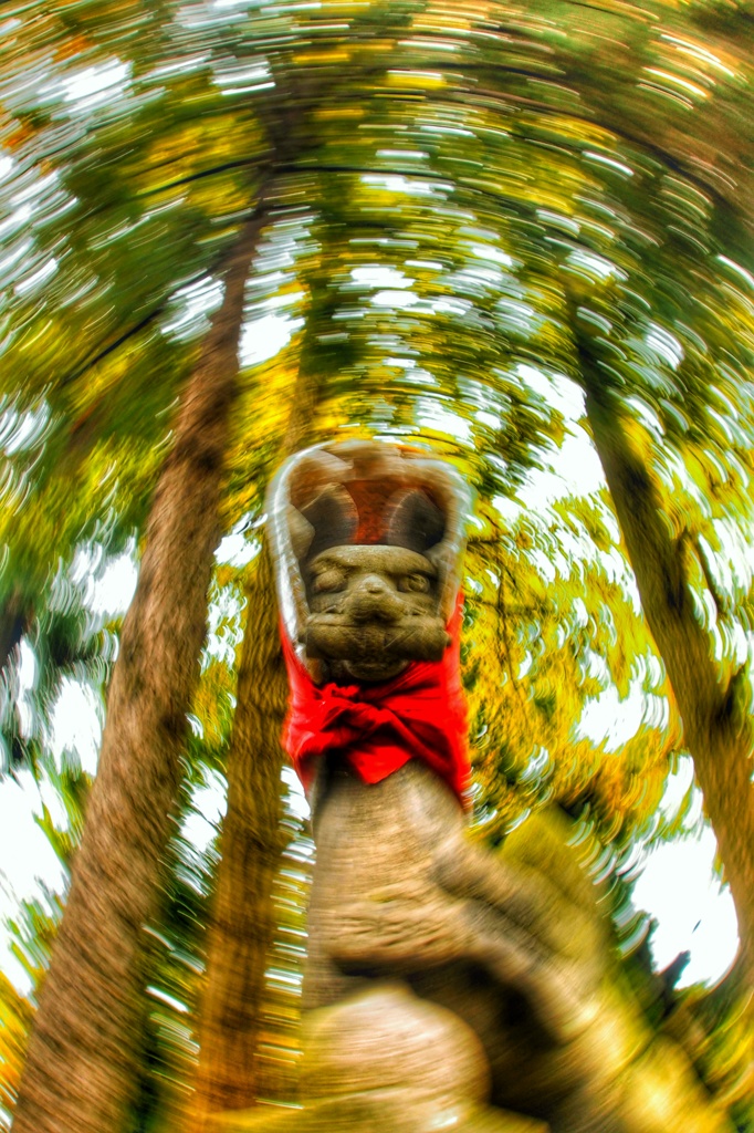 お狐様の化け力