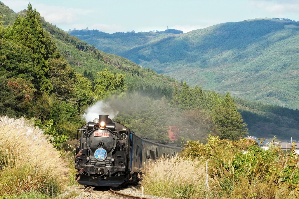 秋の野の帰り道。