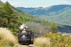 秋の野の帰り道。