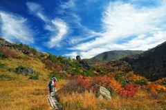 栗駒山の色づく頃に