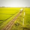 country road
