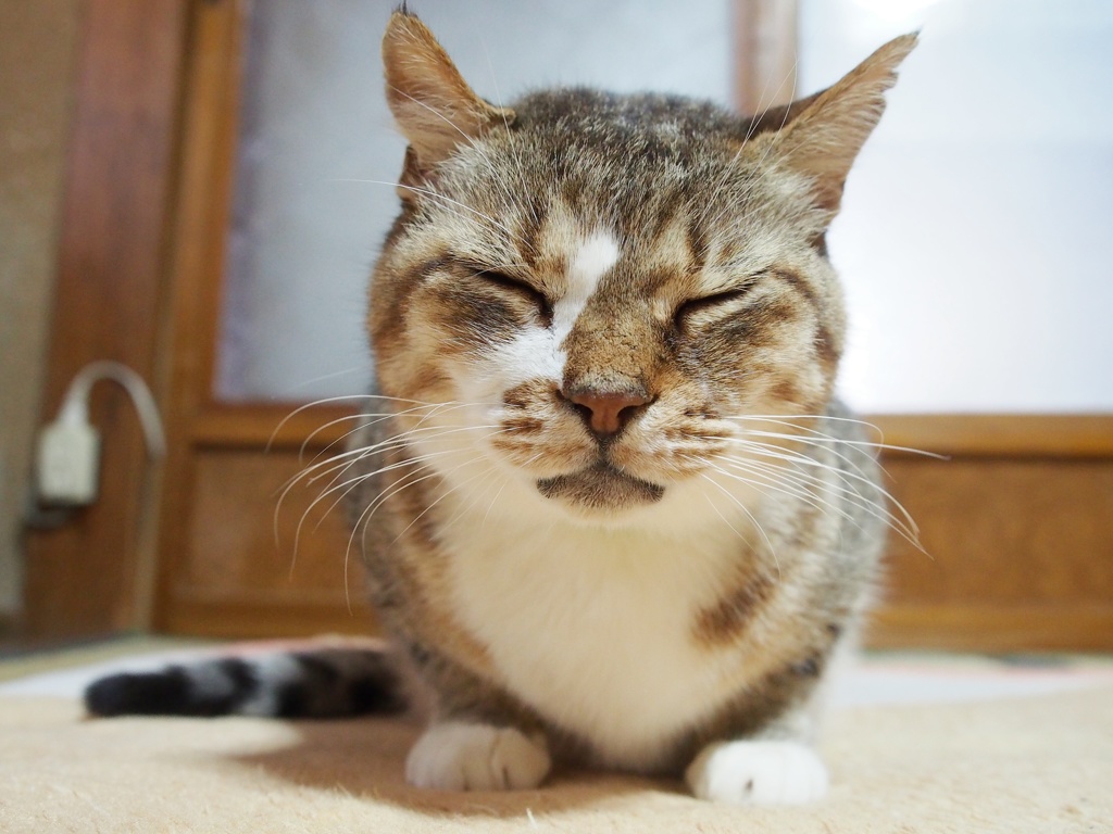 良いお年を…。