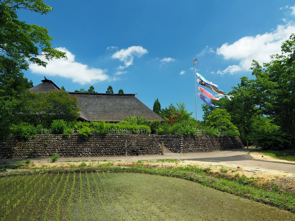 皐月の村