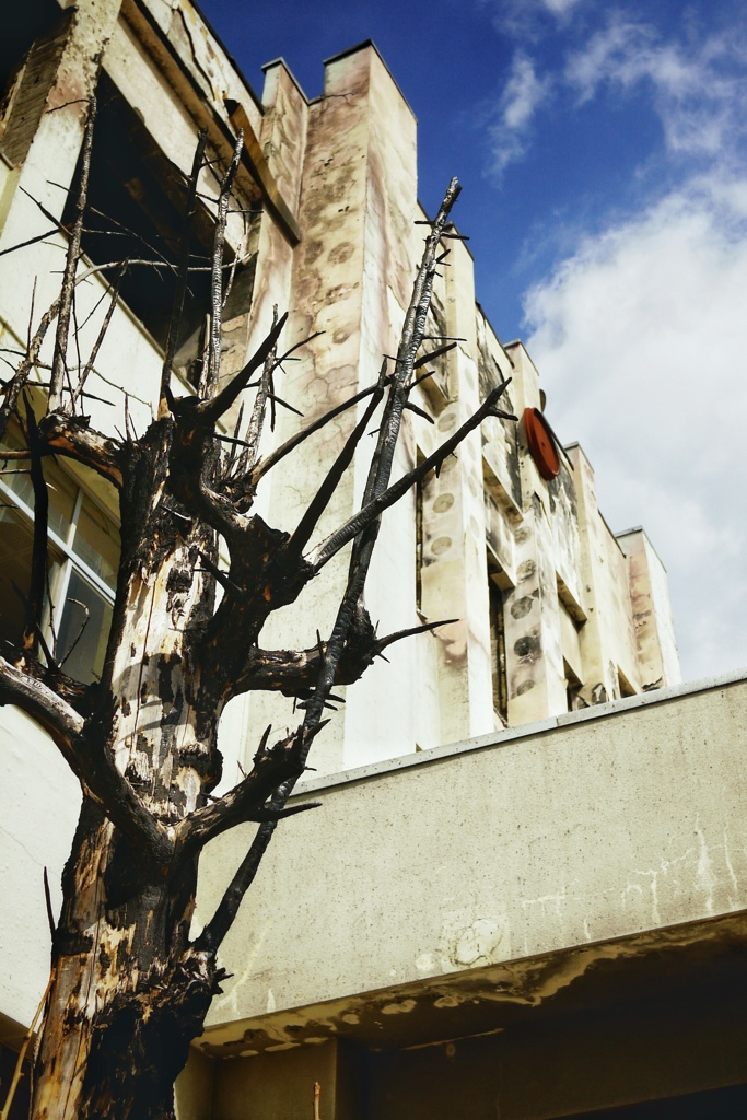 忘れてなどやるものか