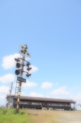 青空の下で