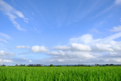 あの夏の空