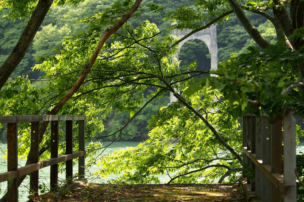 橋の記憶