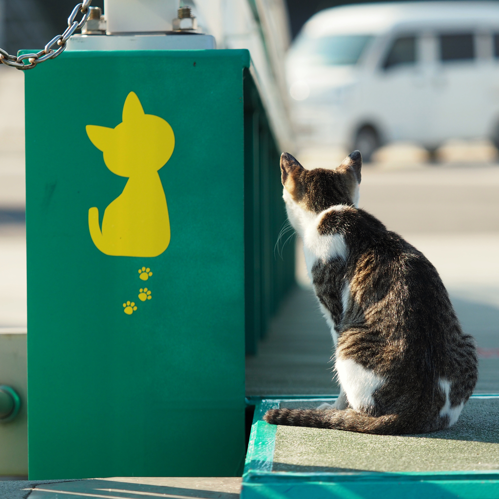 田代島2017 scene.02