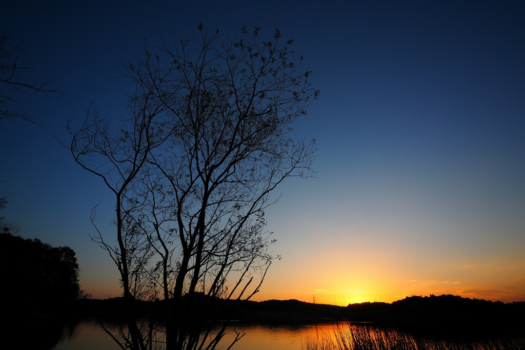 マジックアワー