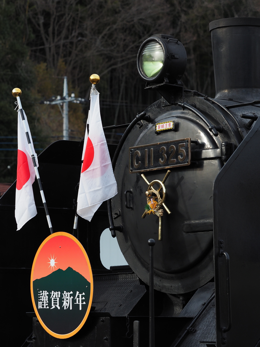 C11 325の正月