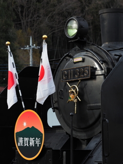 C11 325の正月