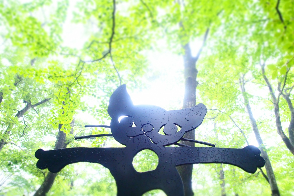 WelcomeWonderfulWorld！