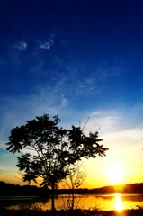 blue orange me.