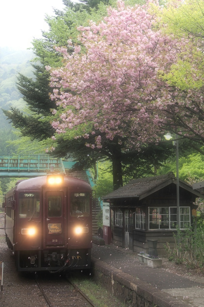 春よ、来い
