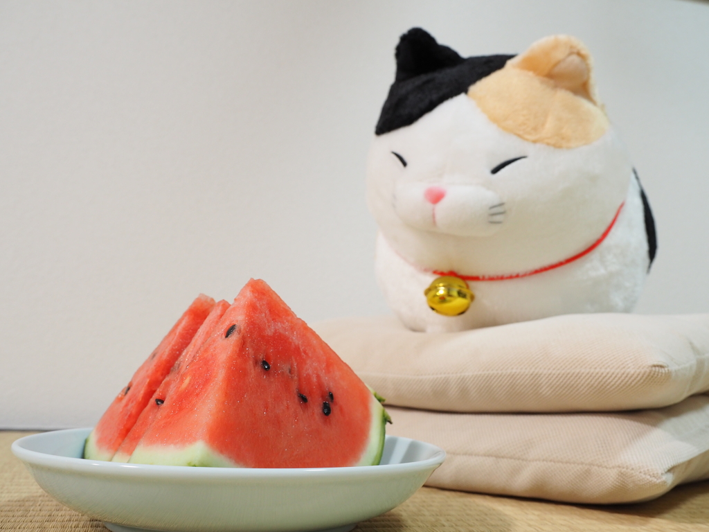 猫とスイカ