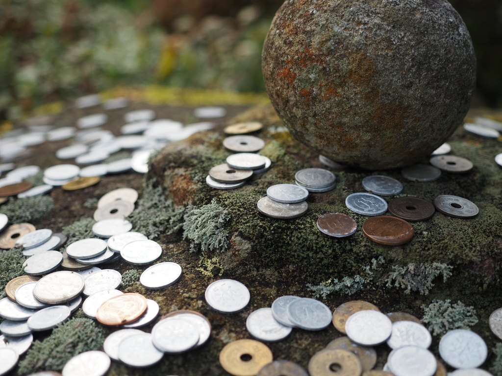 知覧 武家屋敷の庭先にて