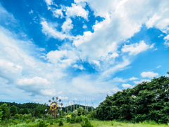 夏のわすれもの
