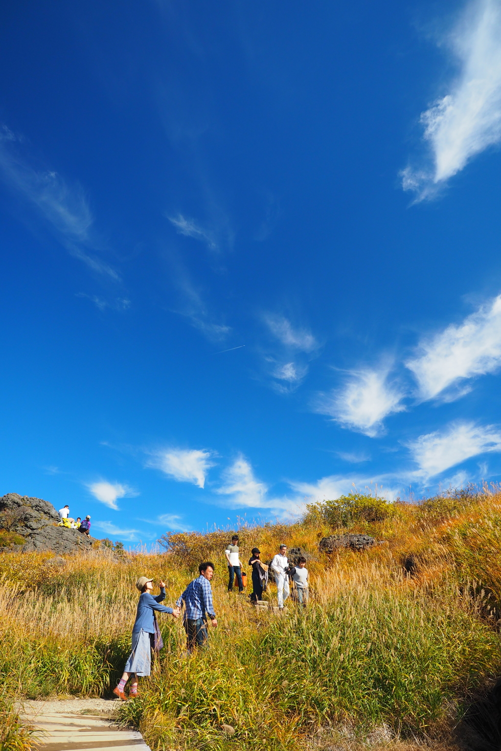 秋の山に集いし人々