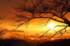 夕日への祈り
