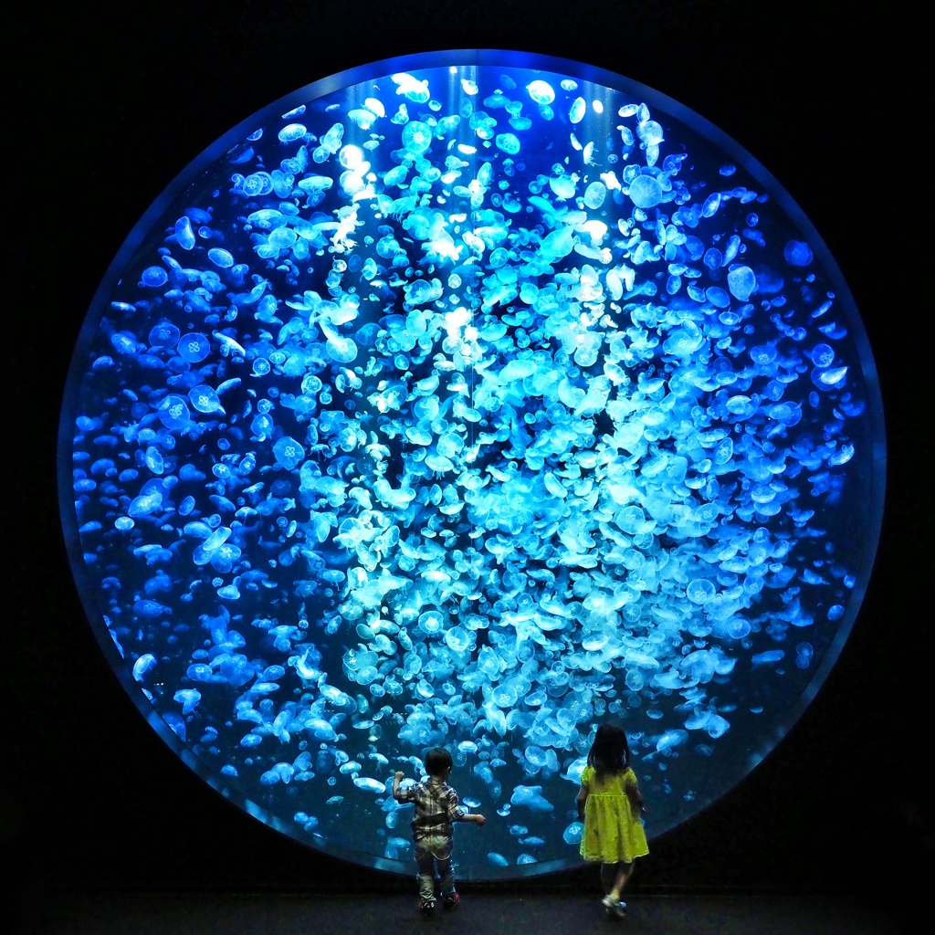 海の宇宙