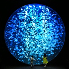 海の宇宙