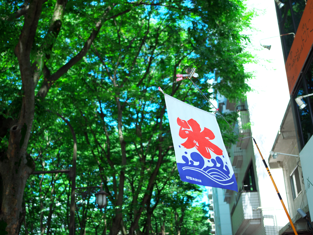 夏がくる
