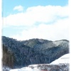 雪晴れの中を
