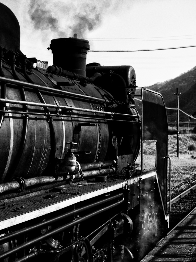 D51