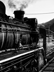 D51
