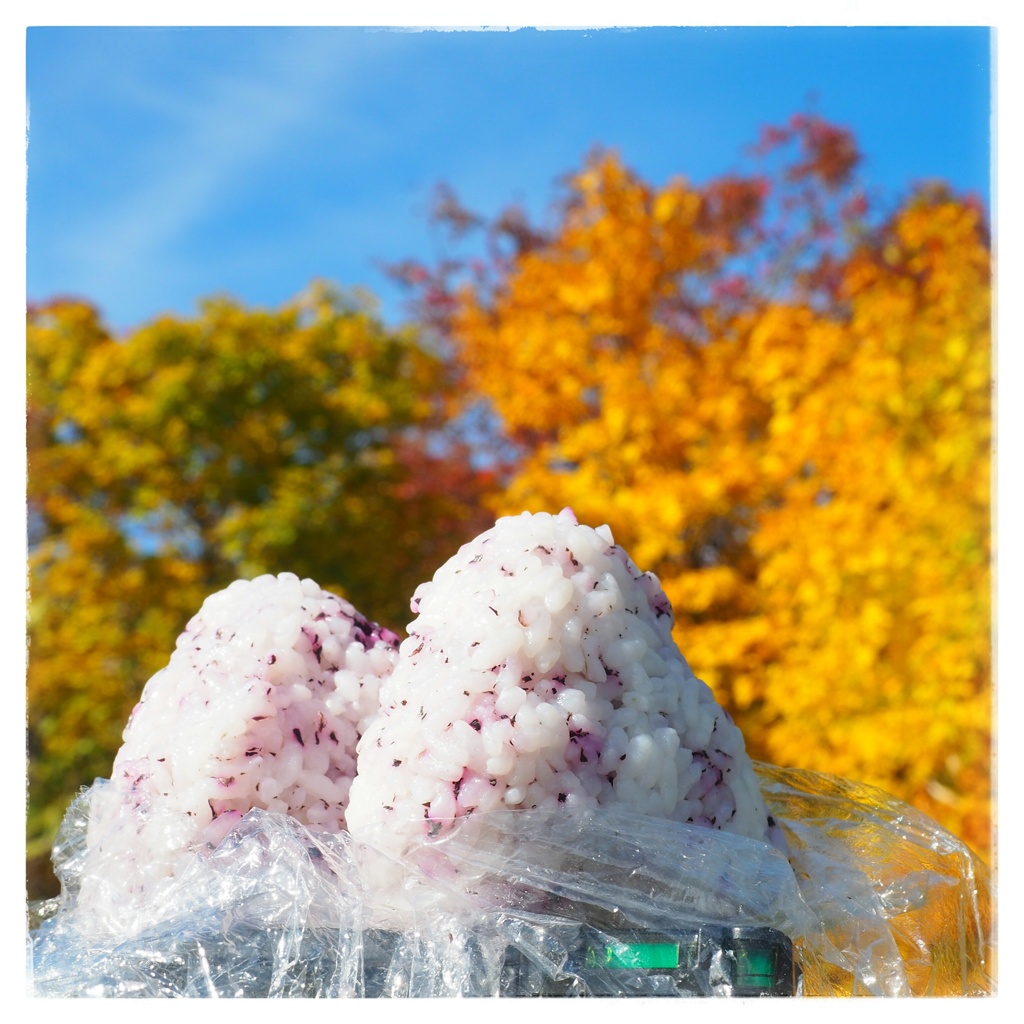 実りに感謝、いただきます