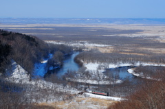 冬の釧路湿原