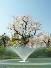 束の間のステージ