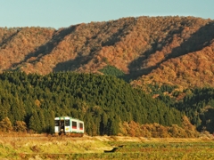 晩秋の斜陽