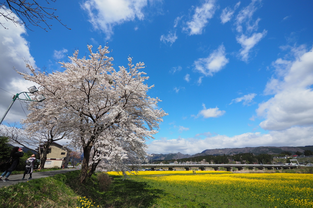 晴れ渡る気持ちで