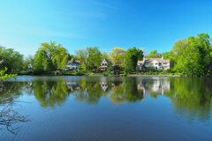 Shaker Heights #011